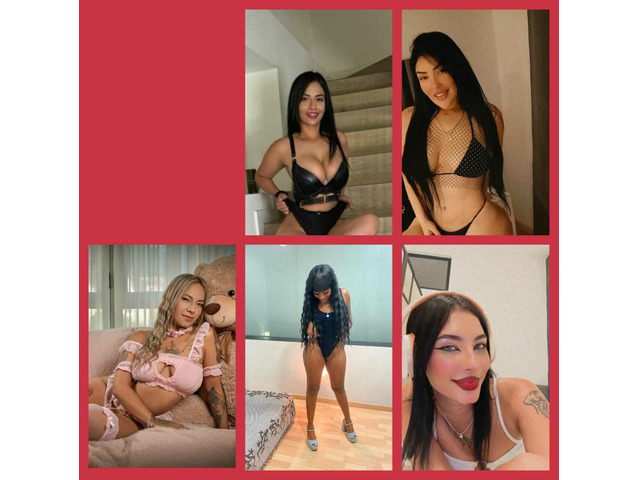 ZORRILLAS SUPER COMPLACIENTES Y MUY SUCIAS