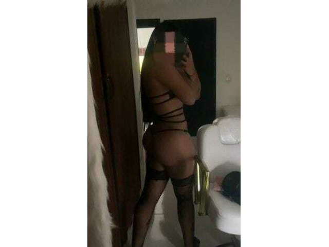 TU PERRA CHUPA HUEVOS