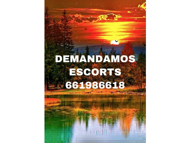 TURNO DE DIA SIN ALOJAMIENTO