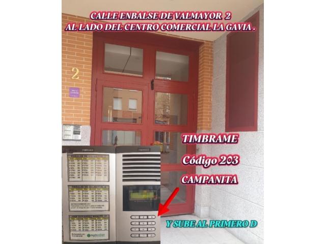 LAS MEJORES SCORT DE LA GAVIA  MADRID.