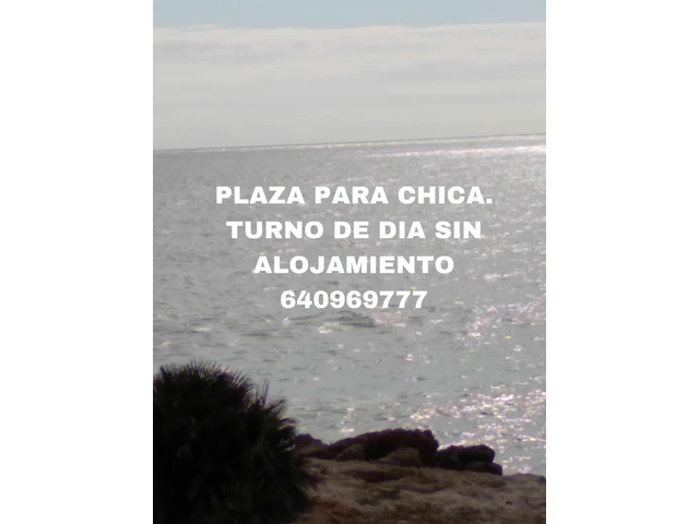 TURNO DE DIA SIN ALOJAMIENTO.