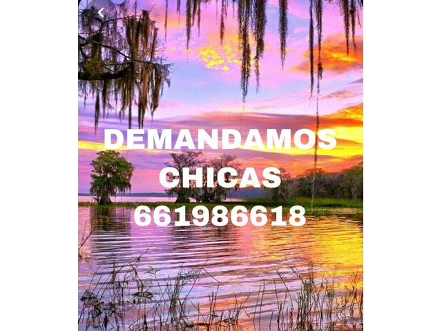 TURNO DE DIA SIN ALOJAMIENTO.