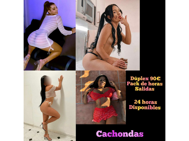PERRITAS CACHONDAS¡QUEREMOS TU LECHITA!