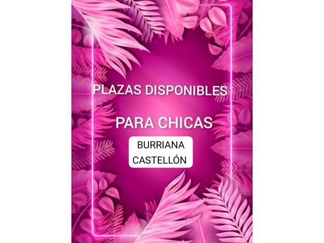 PLAZA LIBRE EN CASTELLÓN, CLIENTELA FIJA.