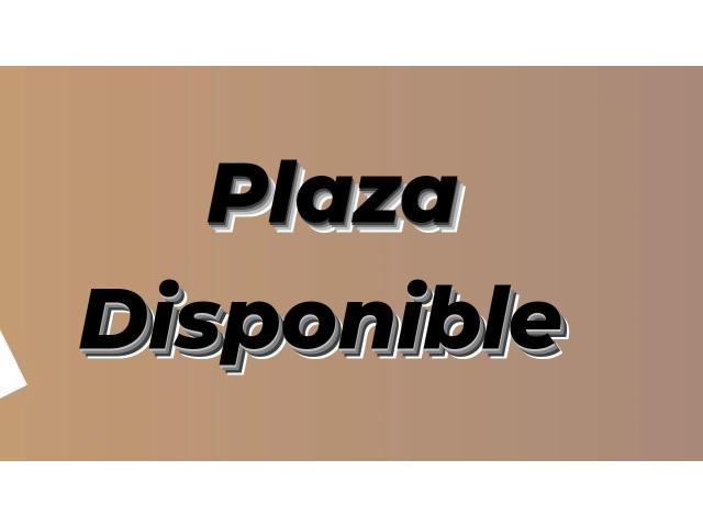 Plaza disponible en elche