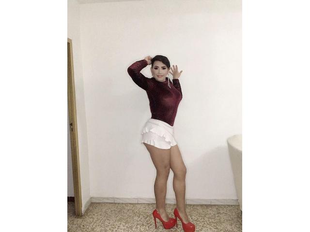 TU CHICA TRANS FAVORITA. . . 24H