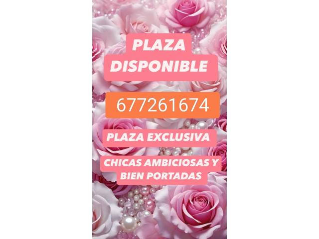 EXCELENTE PLAZA 24 HRS
