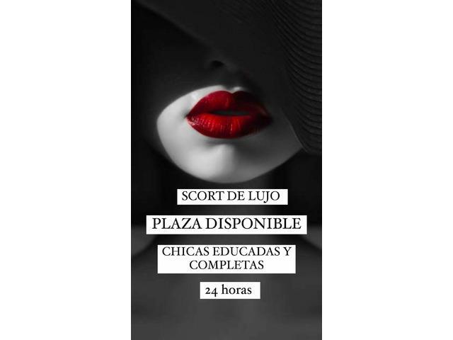 PLAZAS COMODAS Y CON BUENOS INGRESOS