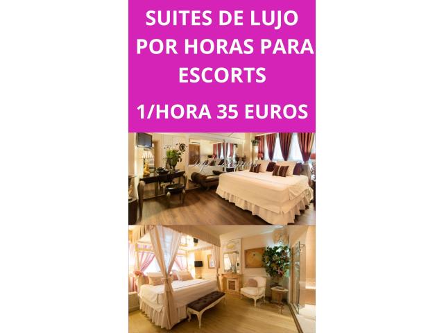 SUITES DE LUJO ¡ECÓNOMICAS!