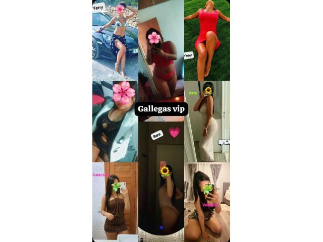 AMIGUITAS VICIO TOTAL