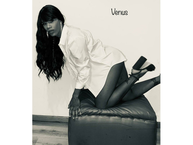 Venus 24H ️