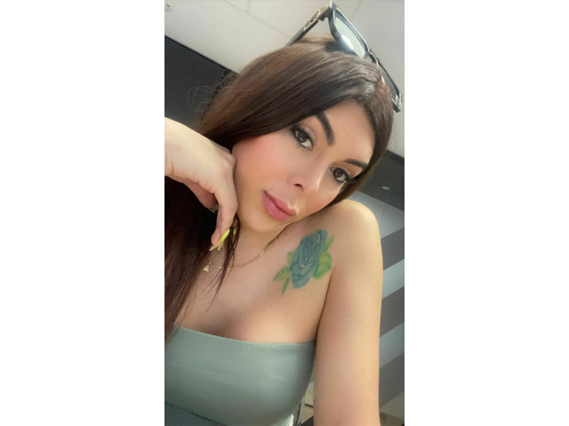 TRANS DE LUJO CON GANAS DE FIESTA.