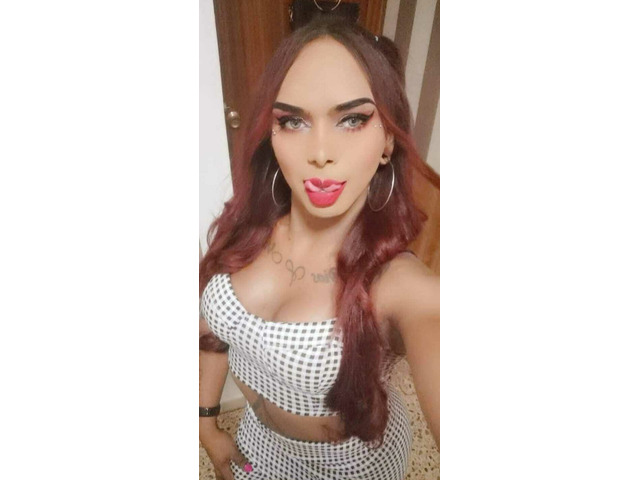Trans favorita