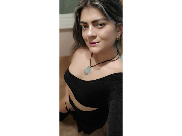 AMOROSA DOMINANTE NUEVA AMOROSA DOMINANTE NUEVA