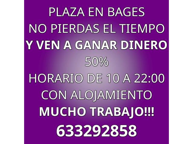 excelente plaza trato familiar
