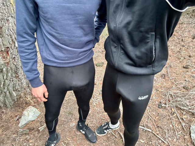 Machos Alphas hetero y pollones