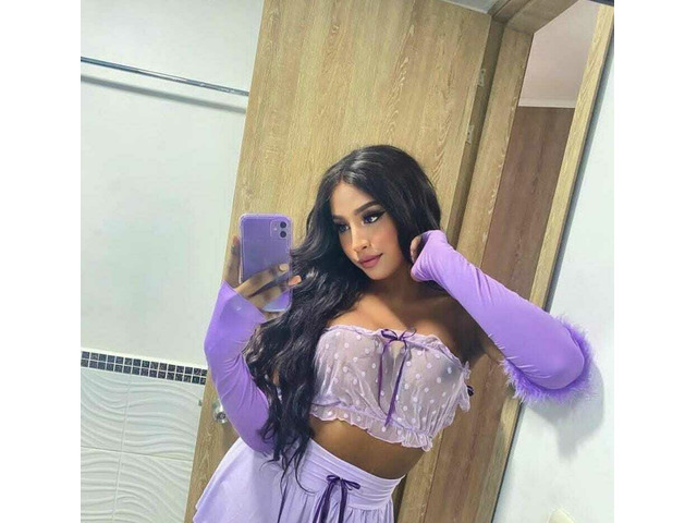 DOMADORA DE POLLAS GRANDES